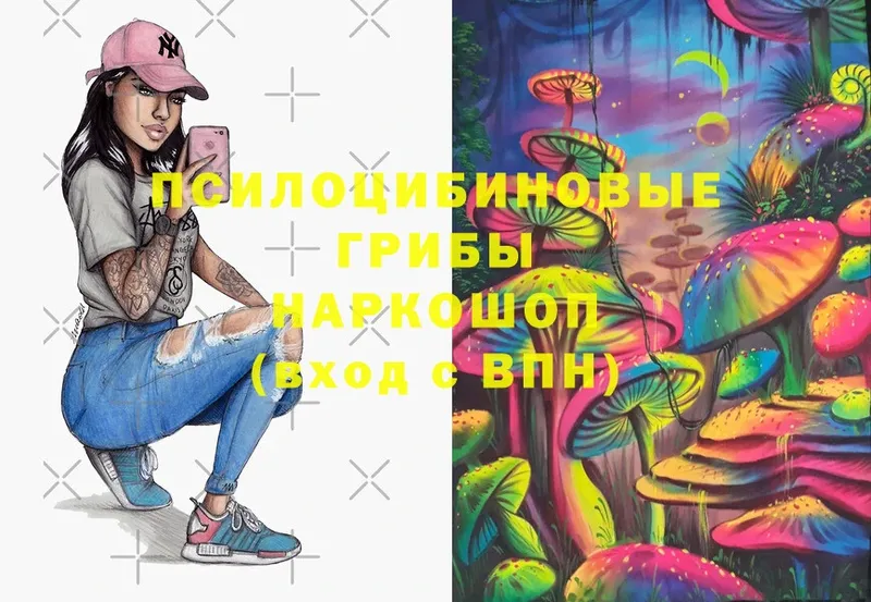 Галлюциногенные грибы MAGIC MUSHROOMS  цены   Злынка 